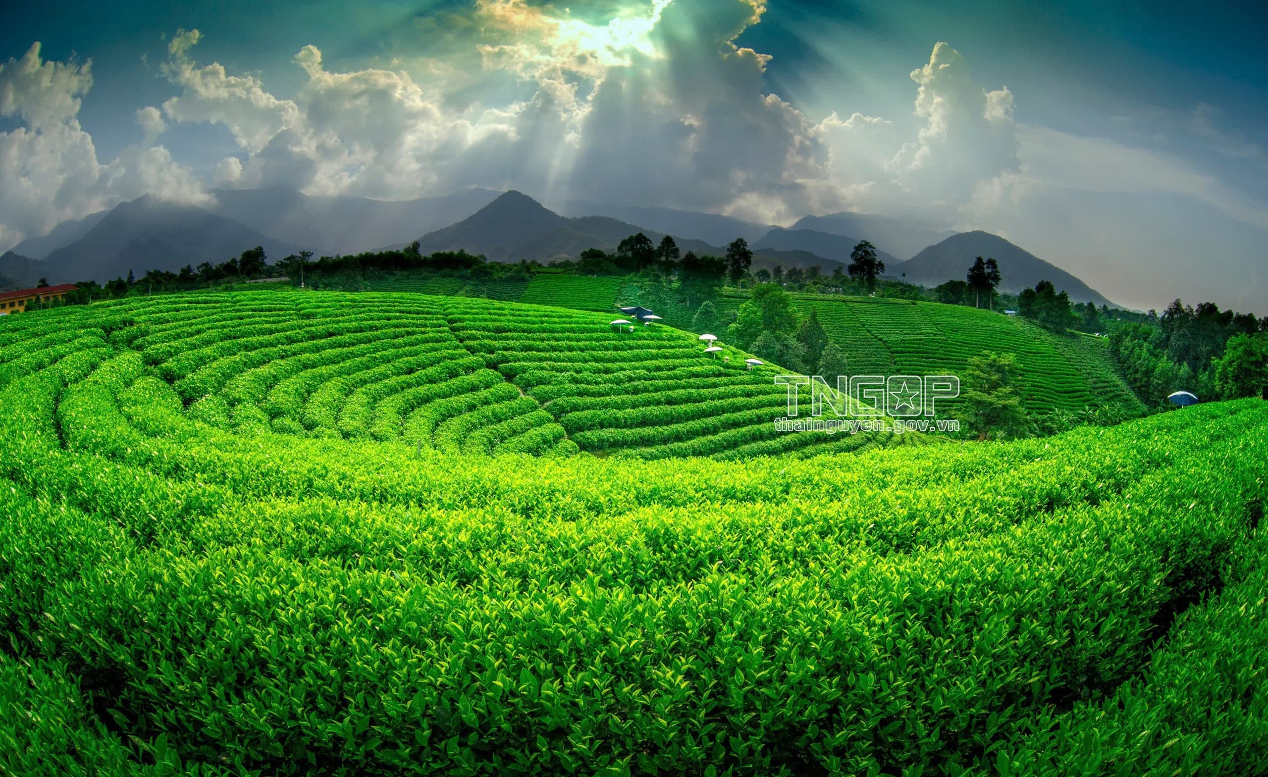 Tỉnh Thái Nguyên